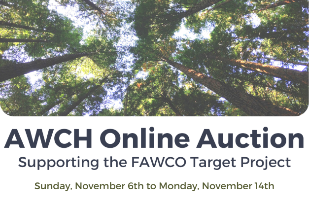 AWCH Online Auction 2