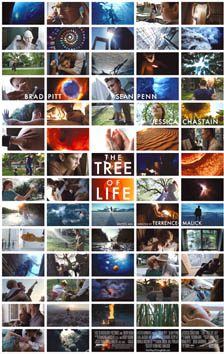 the tree of life