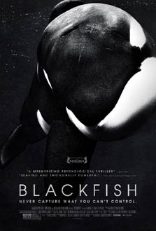 Blackfish 