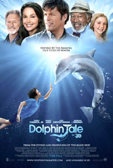 a dolphin tale